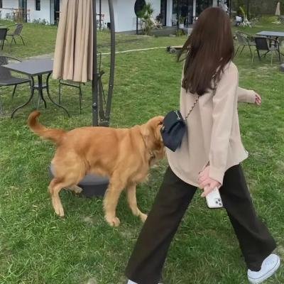 倮·恋